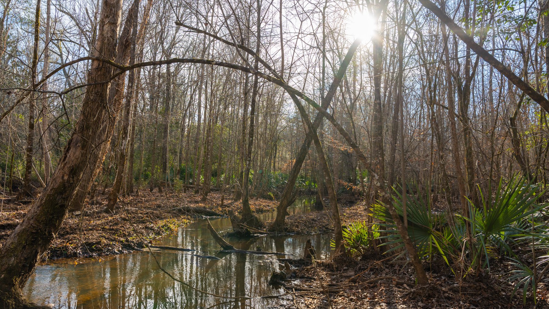 Image for King Tract - 775± Total Acres - Premium Plantation Tract - Large Timber Investment - Choctahatchee Creek Frontage - Offered Divided & As A Whole