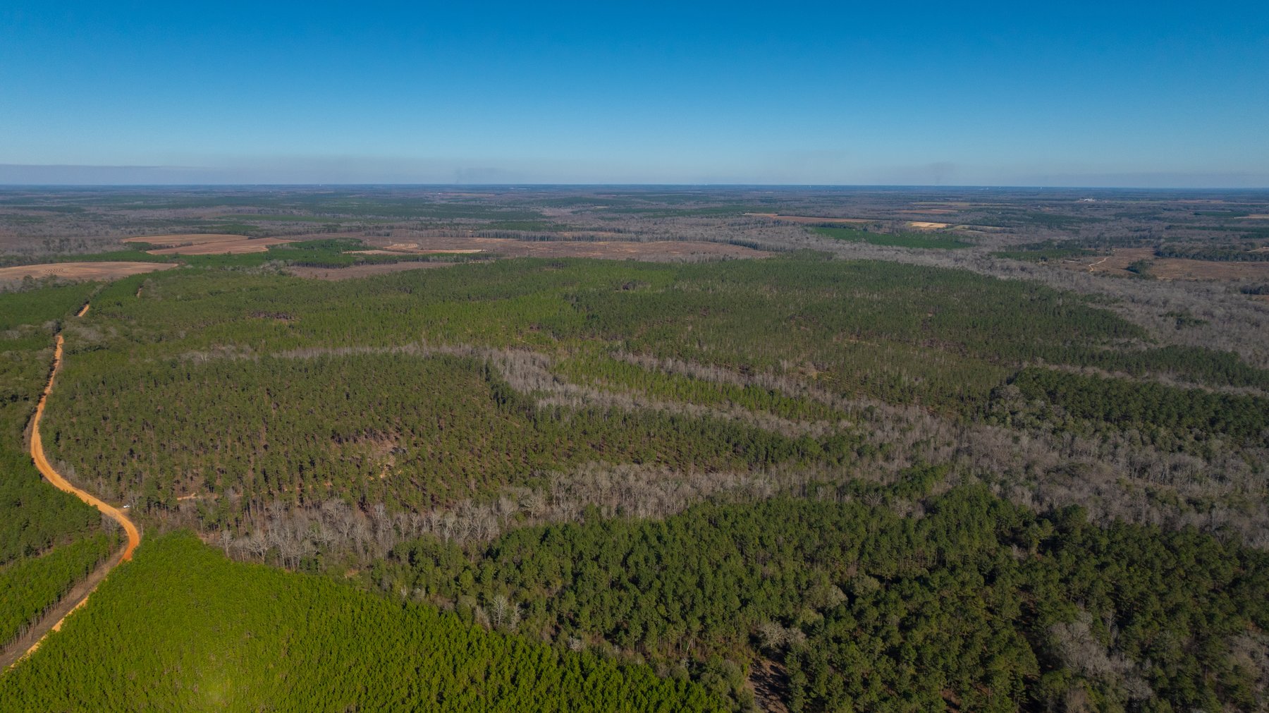 Image for King Tract - 775± Total Acres - Premium Plantation Tract - Large Timber Investment - Choctahatchee Creek Frontage - Offered Divided & As A Whole