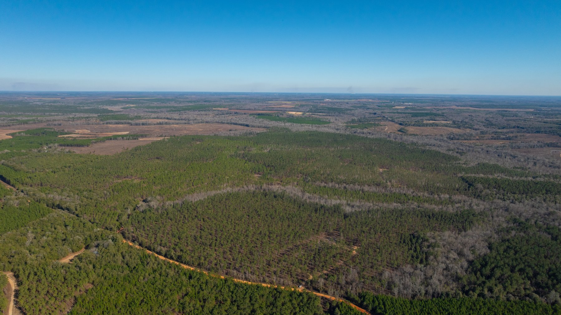 Image for King Tract - 775± Total Acres - Premium Plantation Tract - Large Timber Investment - Choctahatchee Creek Frontage - Offered Divided & As A Whole