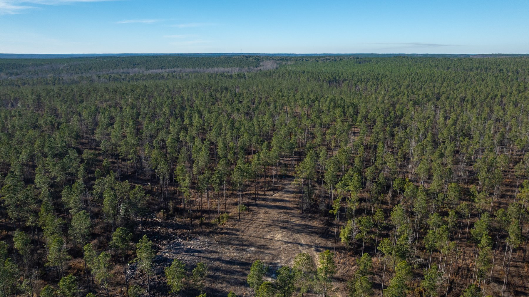 Image for King Tract - 775± Total Acres - Premium Plantation Tract - Large Timber Investment - Choctahatchee Creek Frontage - Offered Divided & As A Whole
