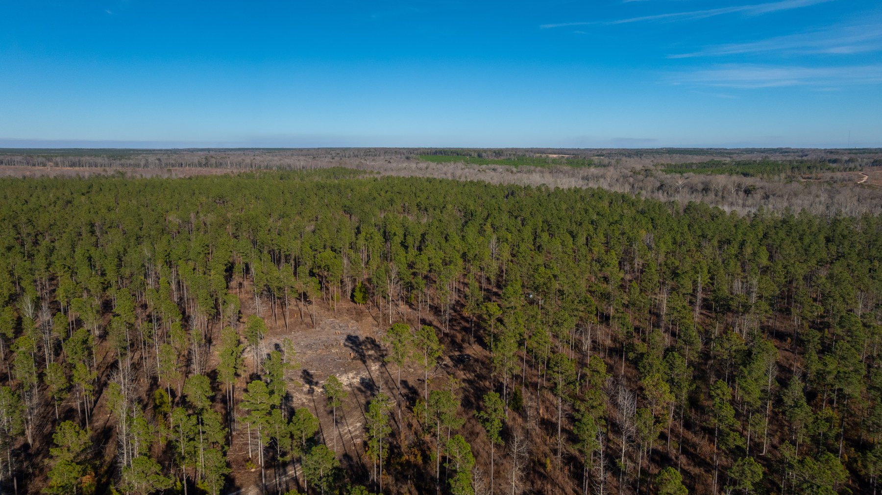 Image for King Tract - 775± Total Acres - Premium Plantation Tract - Large Timber Investment - Choctahatchee Creek Frontage - Offered Divided & As A Whole