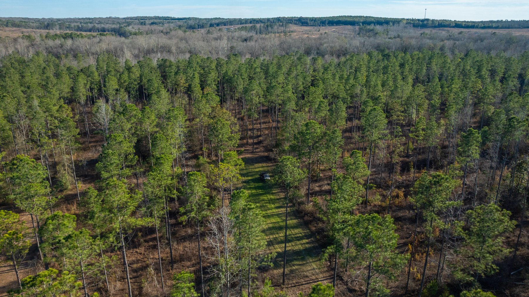 Image for King Tract - 775± Total Acres - Premium Plantation Tract - Large Timber Investment - Choctahatchee Creek Frontage - Offered Divided & As A Whole