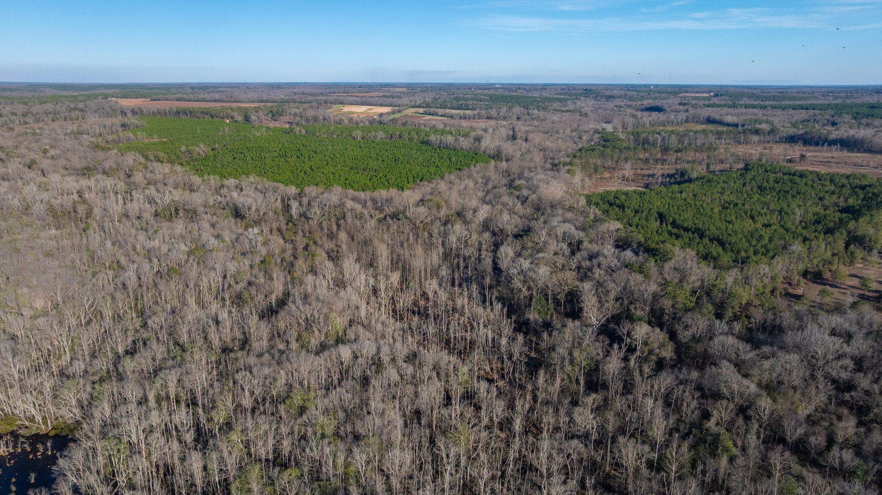 Image for King Tract - 775± Total Acres - Premium Plantation Tract - Large Timber Investment - Choctahatchee Creek Frontage - Offered Divided & As A Whole