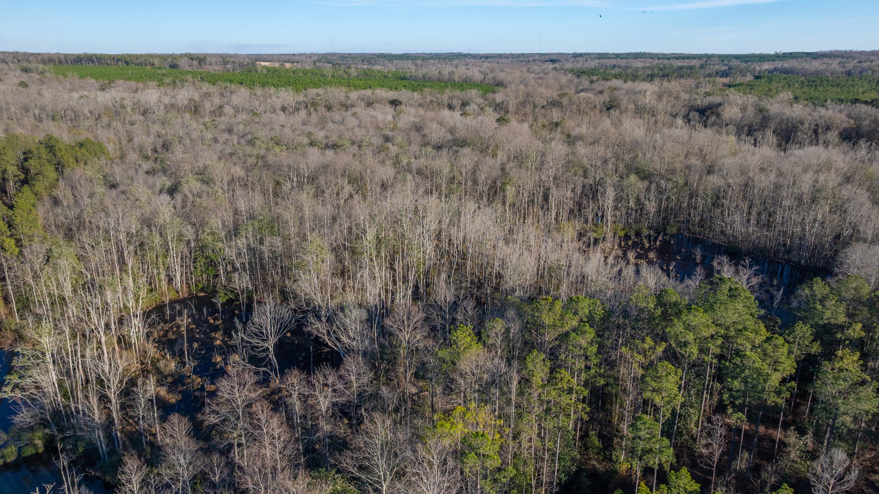 Image for King Tract - 775± Total Acres - Premium Plantation Tract - Large Timber Investment - Choctahatchee Creek Frontage - Offered Divided & As A Whole