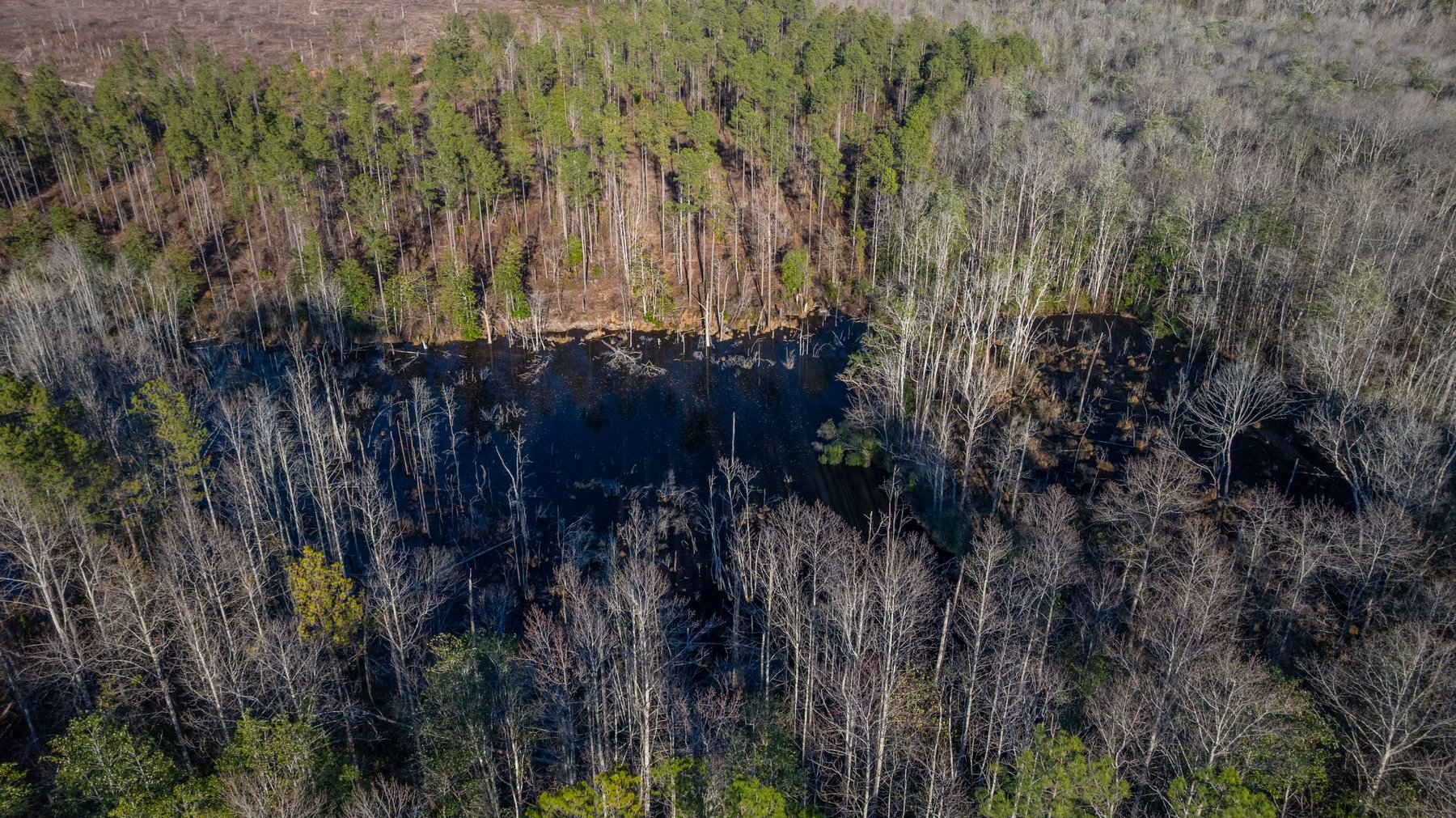 Image for King Tract - 775± Total Acres - Premium Plantation Tract - Large Timber Investment - Choctahatchee Creek Frontage - Offered Divided & As A Whole