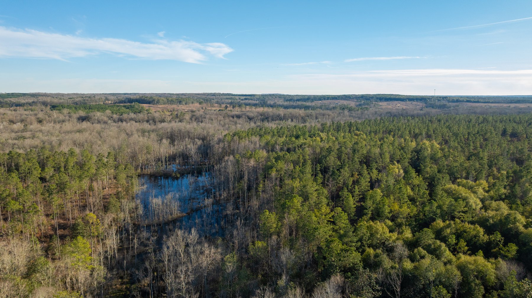 Image for King Tract - 775± Total Acres - Premium Plantation Tract - Large Timber Investment - Choctahatchee Creek Frontage - Offered Divided & As A Whole
