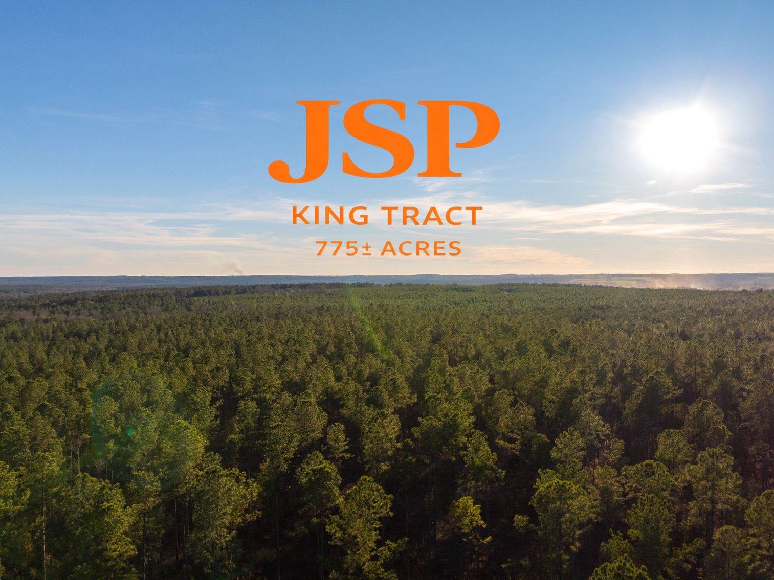 Image for King Tract - 775± Total Acres - Premium Plantation Tract - Large Timber Investment - Choctahatchee Creek Frontage - Offered Divided & As A Whole