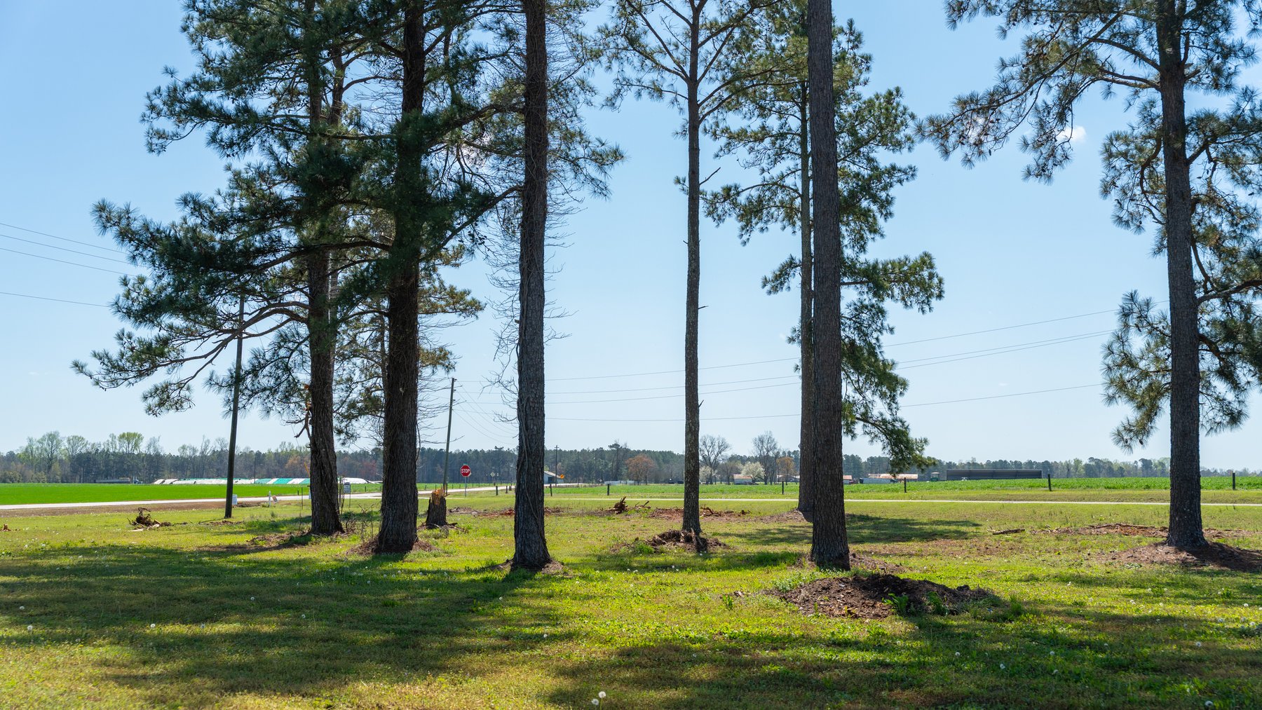 Image for Complete Grainery System - 17± Total Acres - 64,000± Bushel Capacity - Great Farming Operation Addition