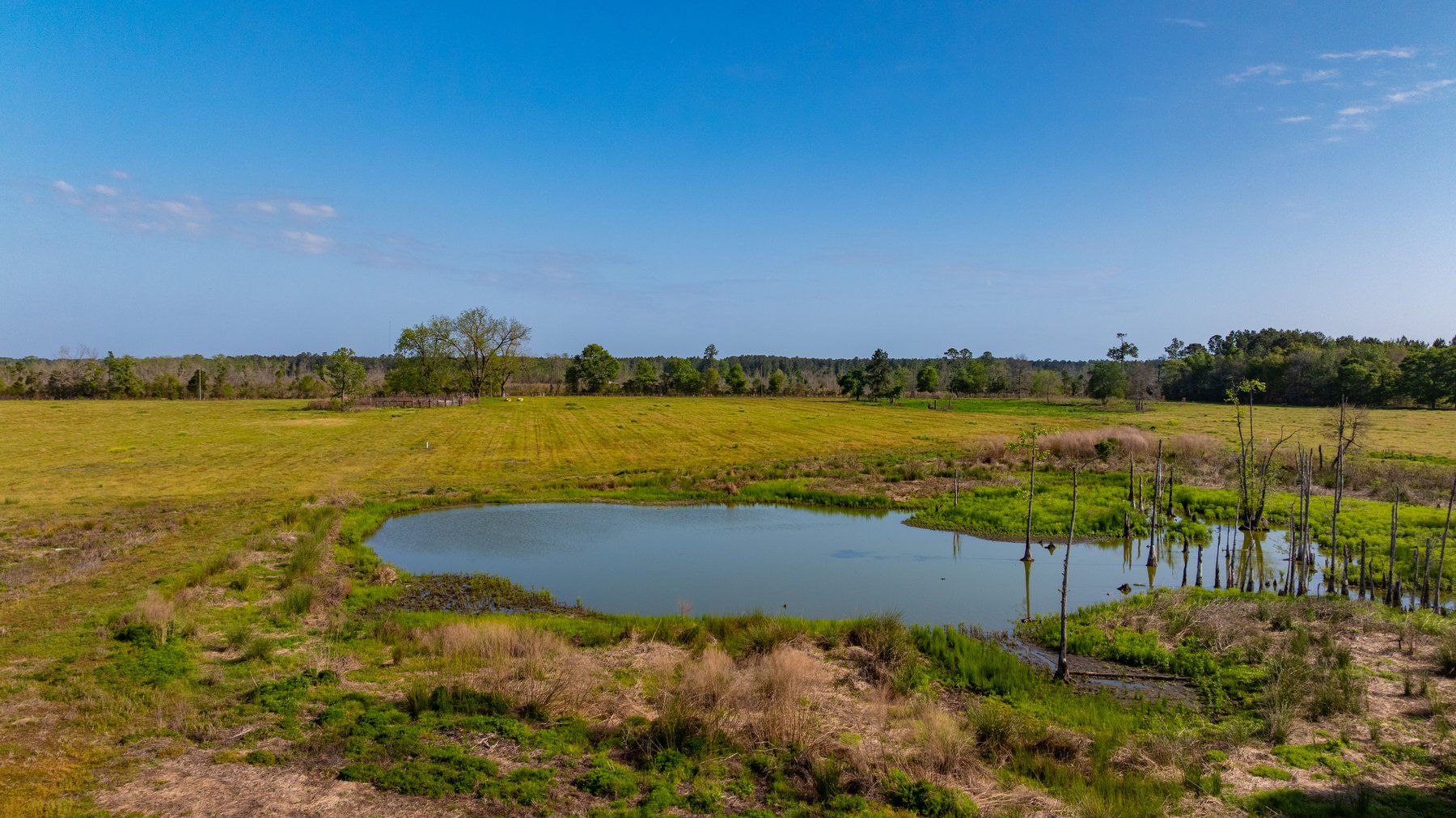 Image for Pasture Tract - Tison Estate - 109± Total Acres - Premium Row Crop Farmland - Fenced Pasture & Catch Pin - Excellent Worth County Location