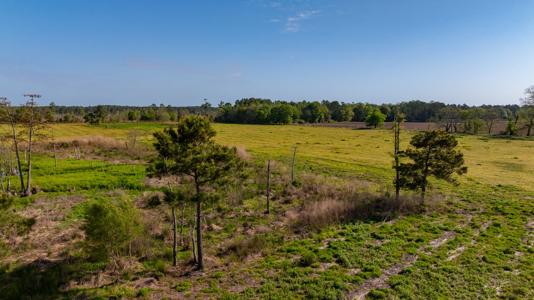 Image for Pasture Tract - Tison Estate - 109± Total Acres - Premium Row Crop Farmland - Fenced Pasture & Catch Pin - Excellent Worth County Location