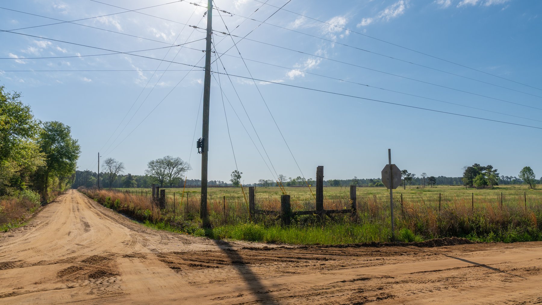 Image for Pasture Tract - Tison Estate - 109± Total Acres - Premium Row Crop Farmland - Fenced Pasture & Catch Pin - Excellent Worth County Location