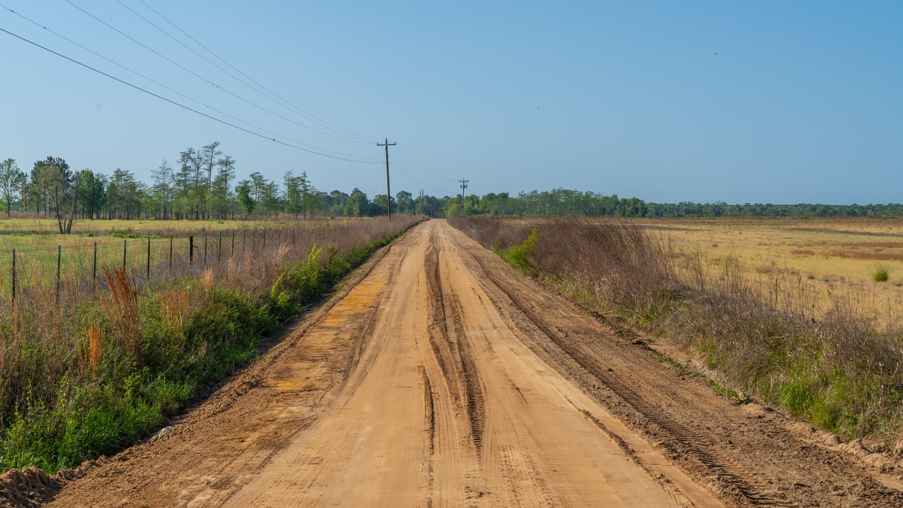 Image for Pasture Tract - Tison Estate - 109± Total Acres - Premium Row Crop Farmland - Fenced Pasture & Catch Pin - Excellent Worth County Location