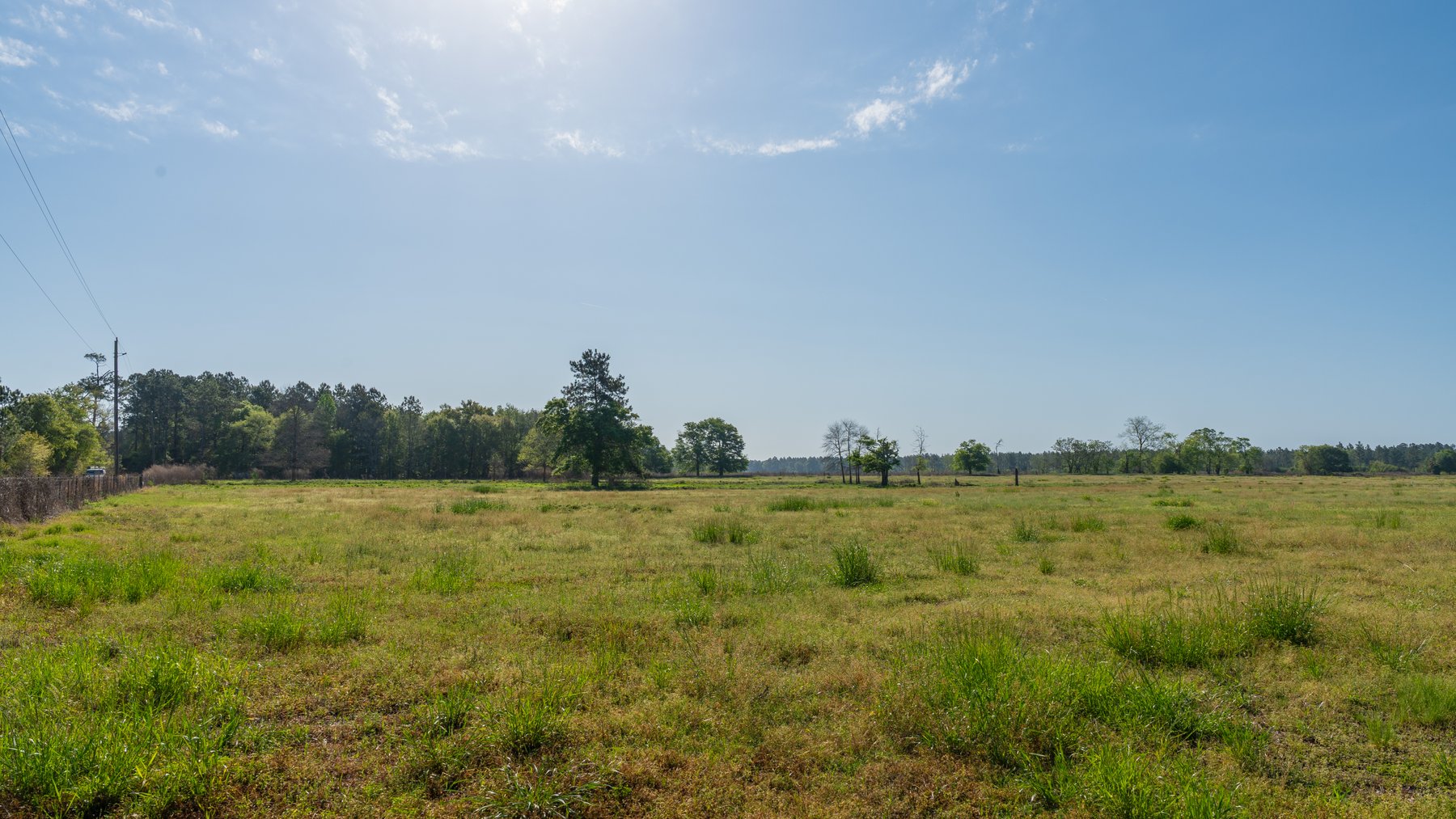 Image for Pasture Tract - Tison Estate - 109± Total Acres - Premium Row Crop Farmland - Fenced Pasture & Catch Pin - Excellent Worth County Location