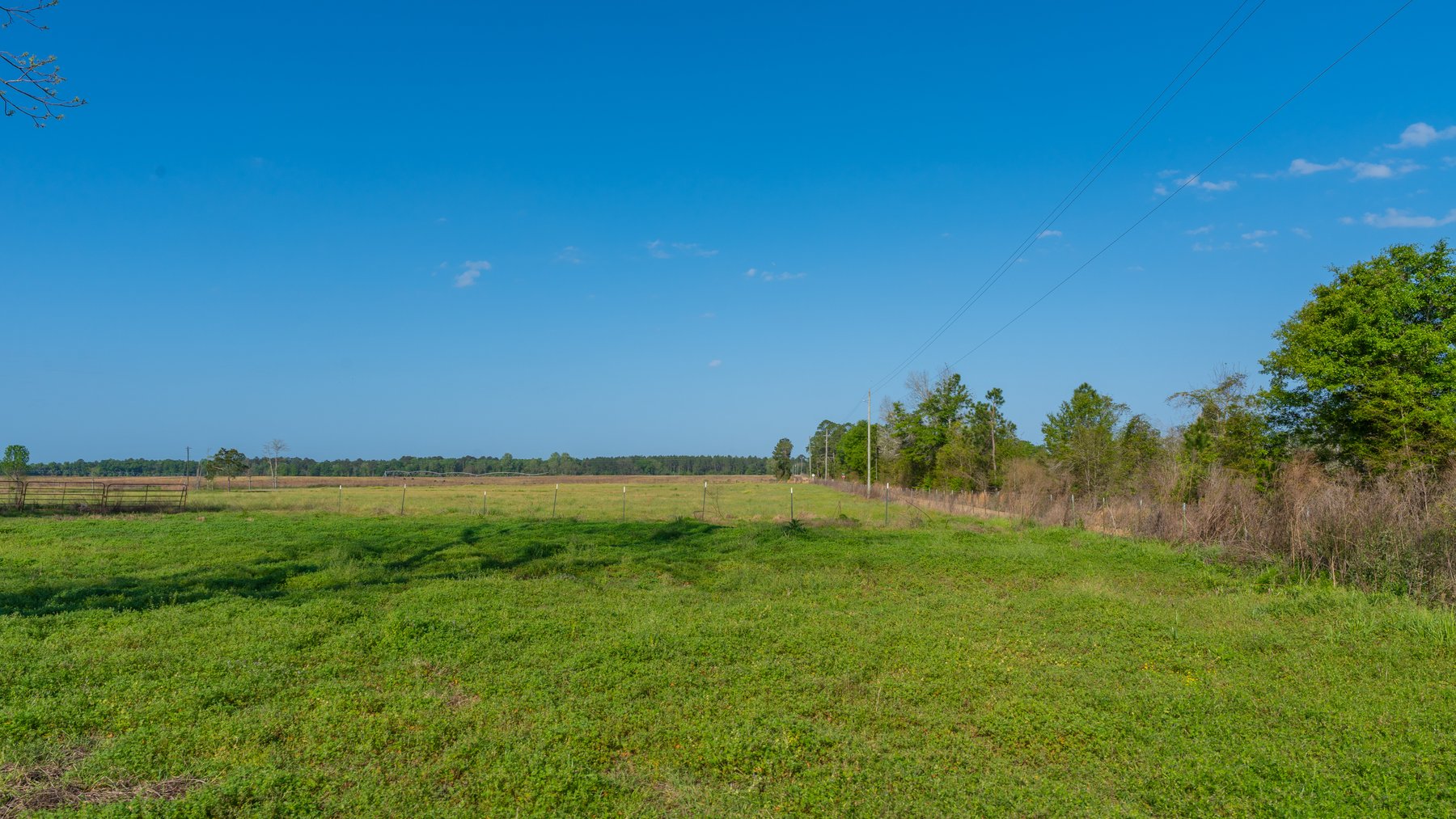 Image for Pasture Tract - Tison Estate - 109± Total Acres - Premium Row Crop Farmland - Fenced Pasture & Catch Pin - Excellent Worth County Location