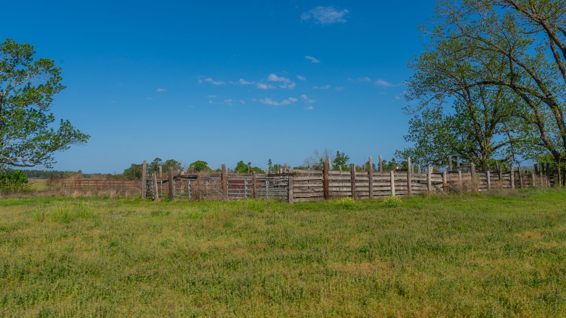 Image for Pasture Tract - Tison Estate - 109± Total Acres - Premium Row Crop Farmland - Fenced Pasture & Catch Pin - Excellent Worth County Location