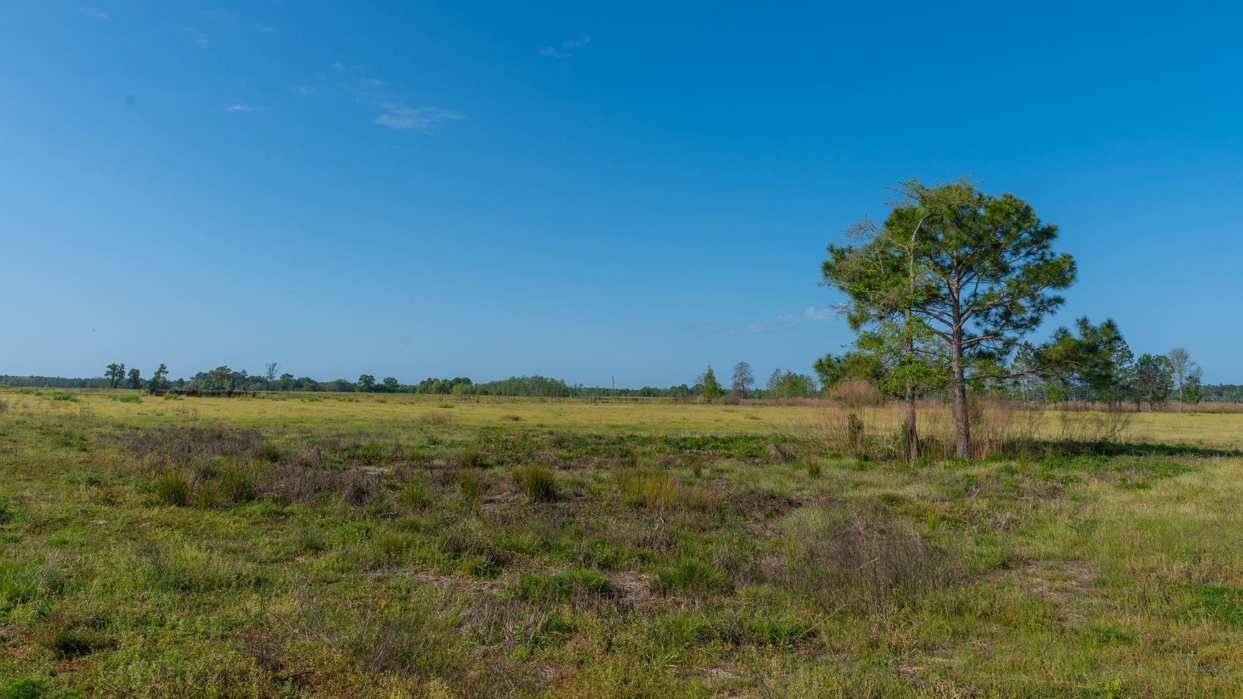 Image for Pasture Tract - Tison Estate - 109± Total Acres - Premium Row Crop Farmland - Fenced Pasture & Catch Pin - Excellent Worth County Location