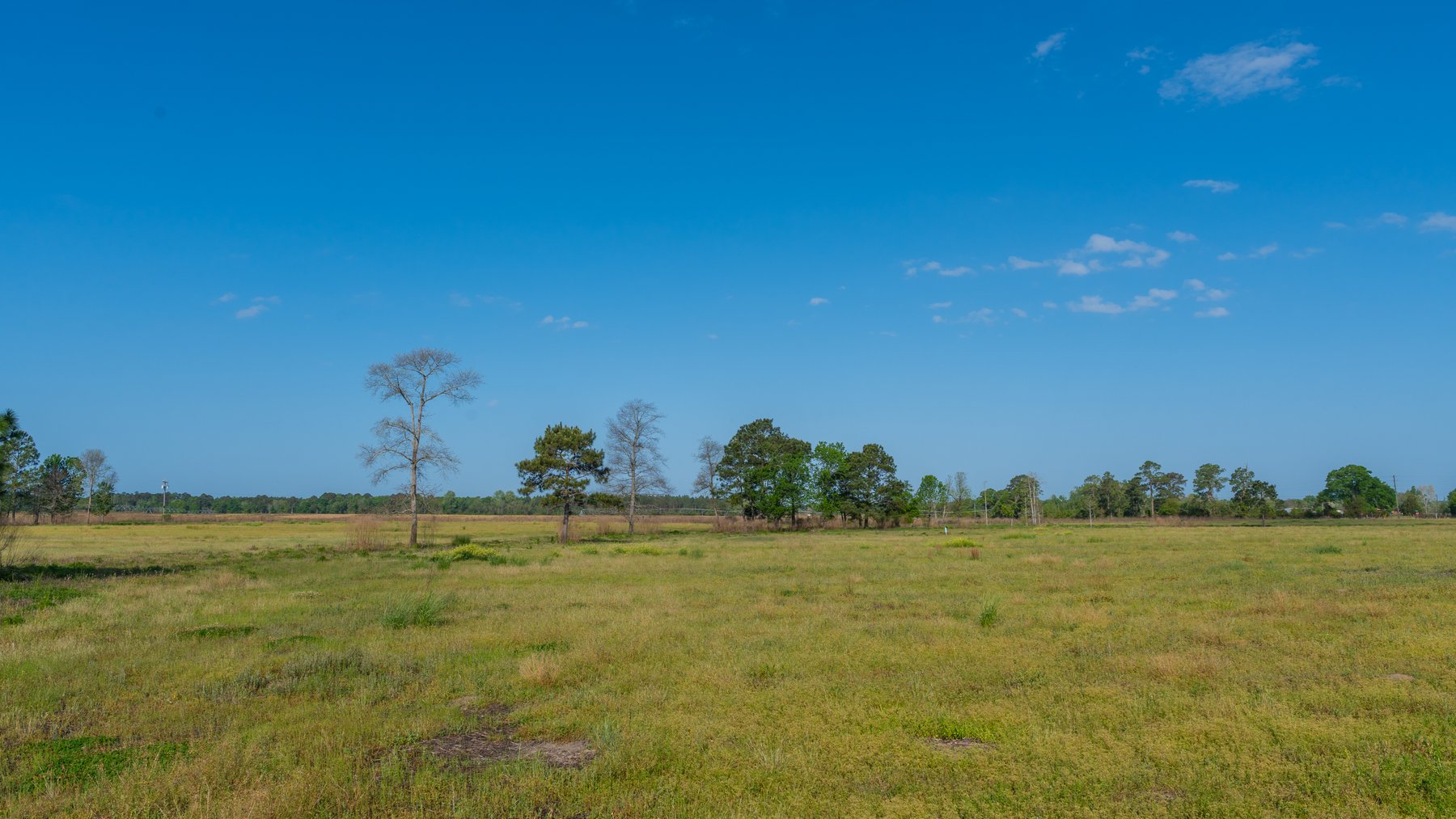 Image for Pasture Tract - Tison Estate - 109± Total Acres - Premium Row Crop Farmland - Fenced Pasture & Catch Pin - Excellent Worth County Location