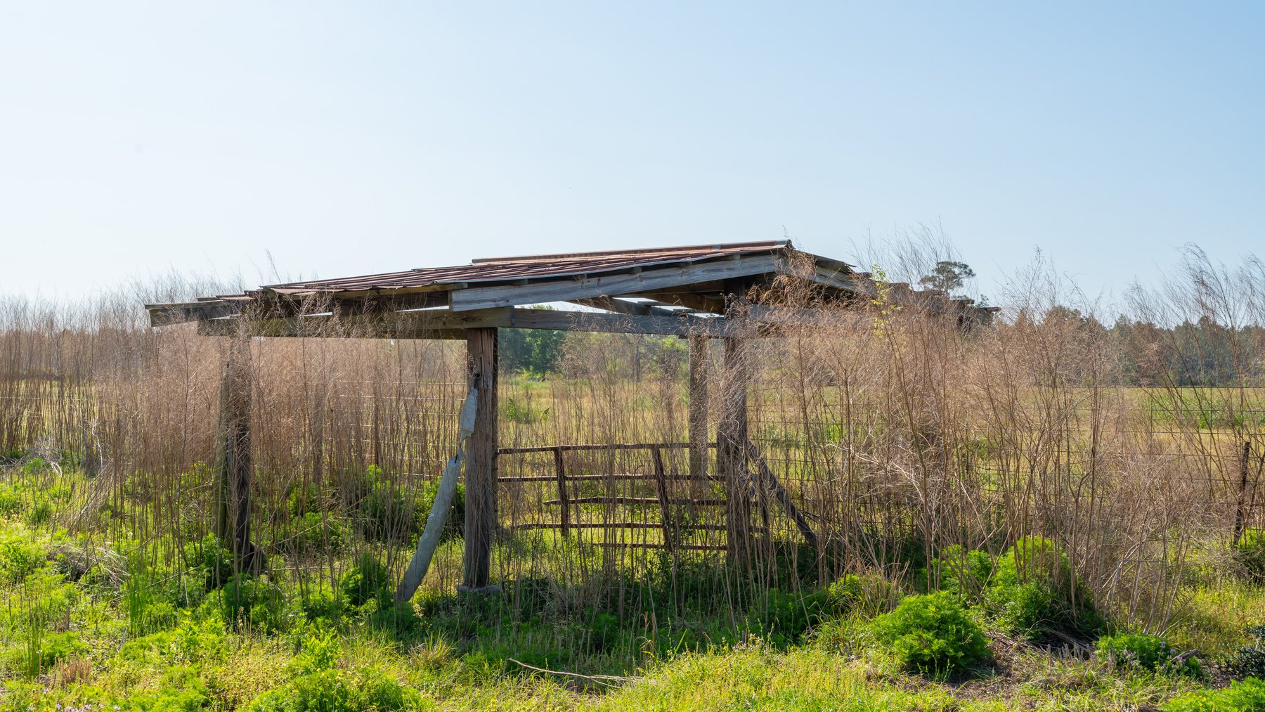 Image for Pasture Tract - Tison Estate - 109± Total Acres - Premium Row Crop Farmland - Fenced Pasture & Catch Pin - Excellent Worth County Location