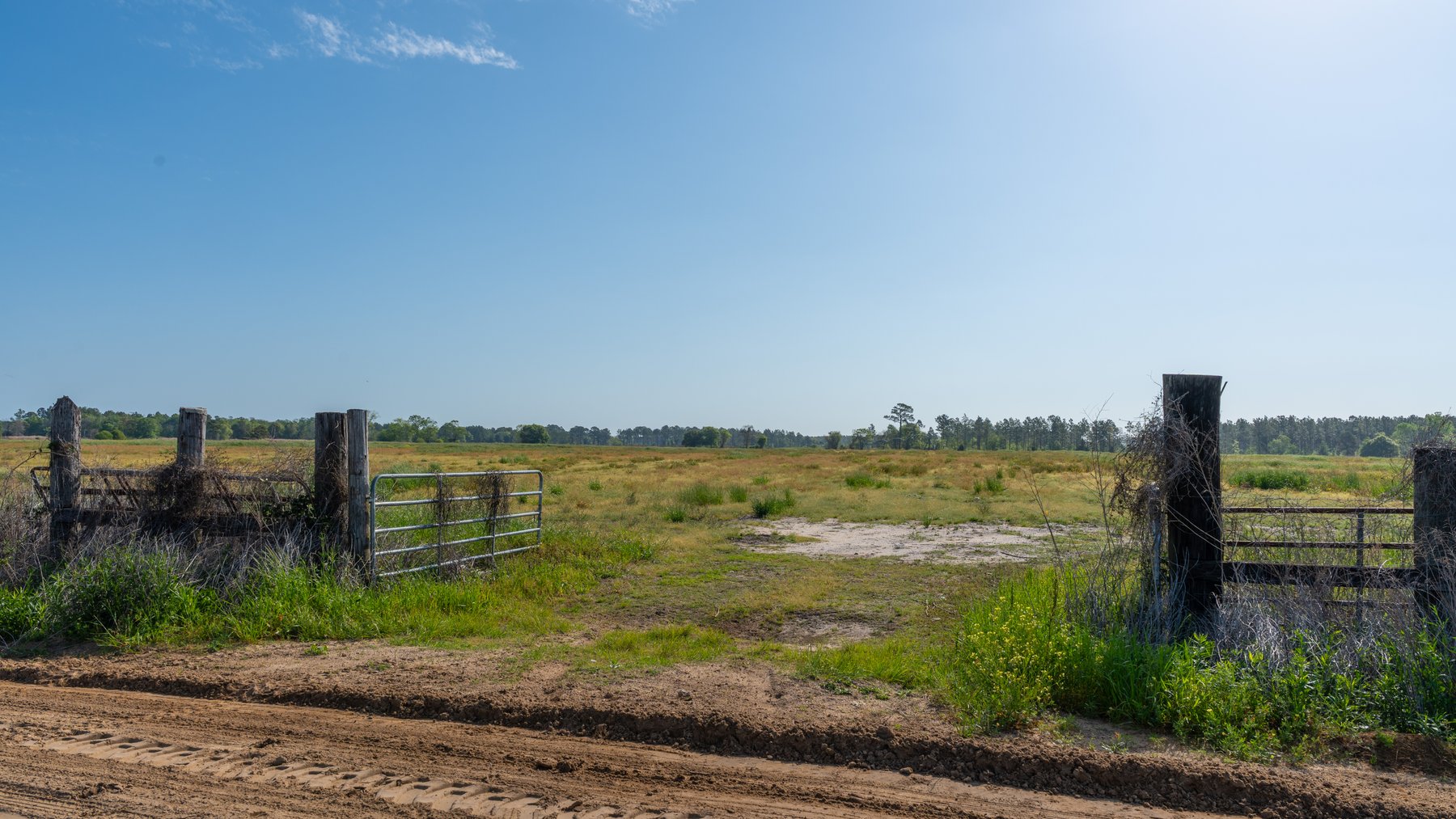 Image for Pasture Tract - Tison Estate - 109± Total Acres - Premium Row Crop Farmland - Fenced Pasture & Catch Pin - Excellent Worth County Location
