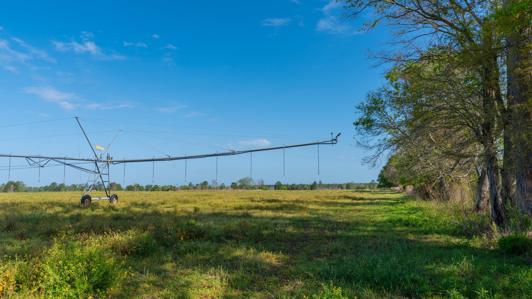 Image for Pasture Tract - Tison Estate - 109± Total Acres - Premium Row Crop Farmland - Fenced Pasture & Catch Pin - Excellent Worth County Location