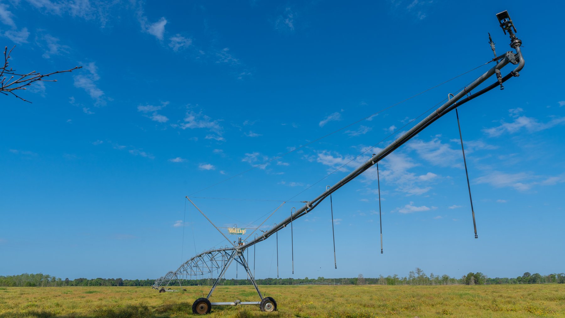 Image for Pasture Tract - Tison Estate - 109± Total Acres - Premium Row Crop Farmland - Fenced Pasture & Catch Pin - Excellent Worth County Location