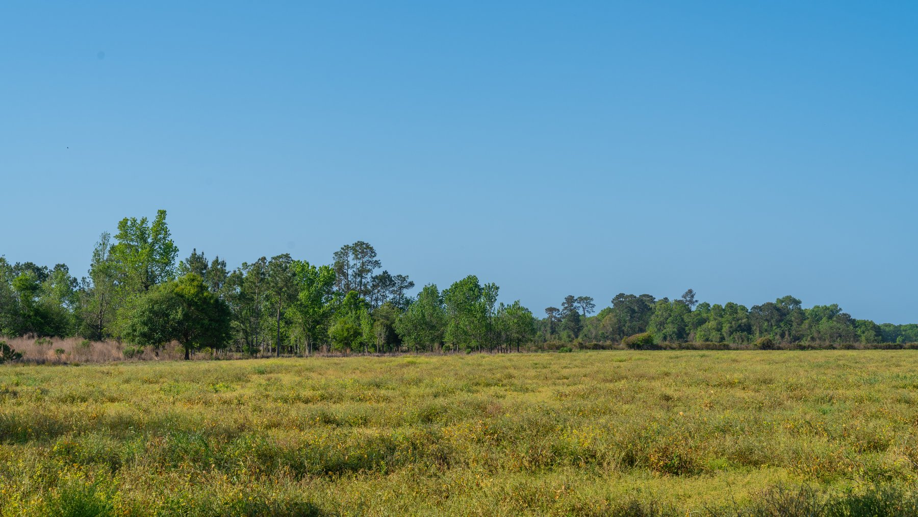 Image for Pasture Tract - Tison Estate - 109± Total Acres - Premium Row Crop Farmland - Fenced Pasture & Catch Pin - Excellent Worth County Location