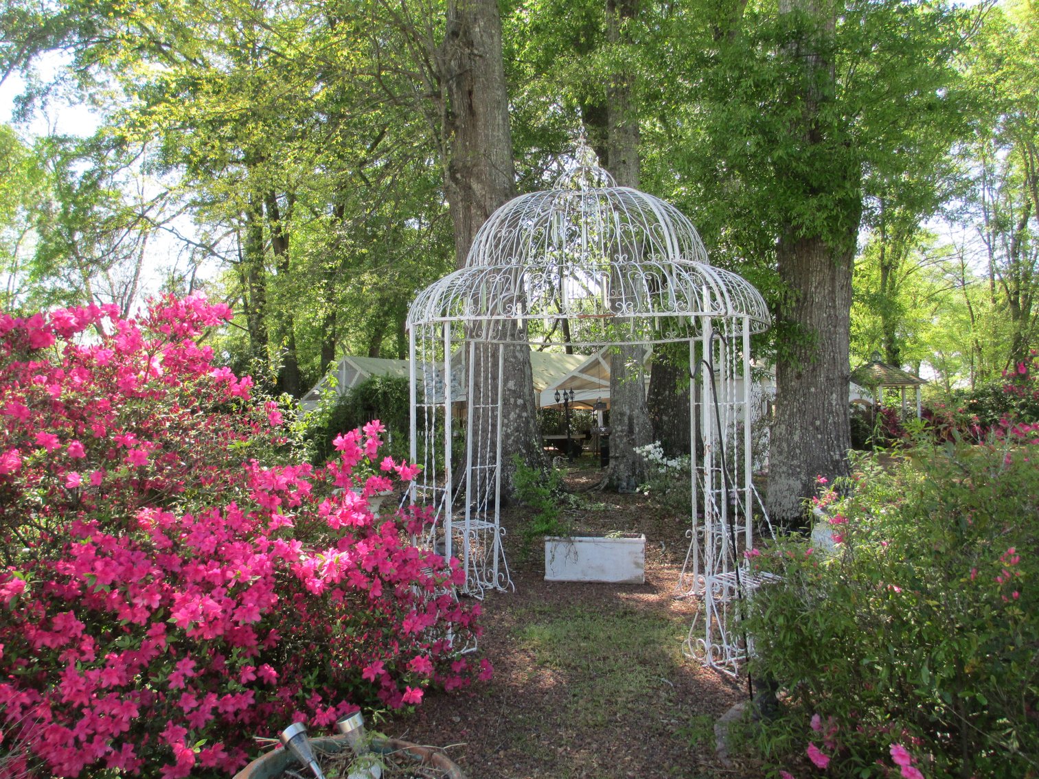 Image for 240 North Jeff Davis Drive, Fayetteville, GA 30214