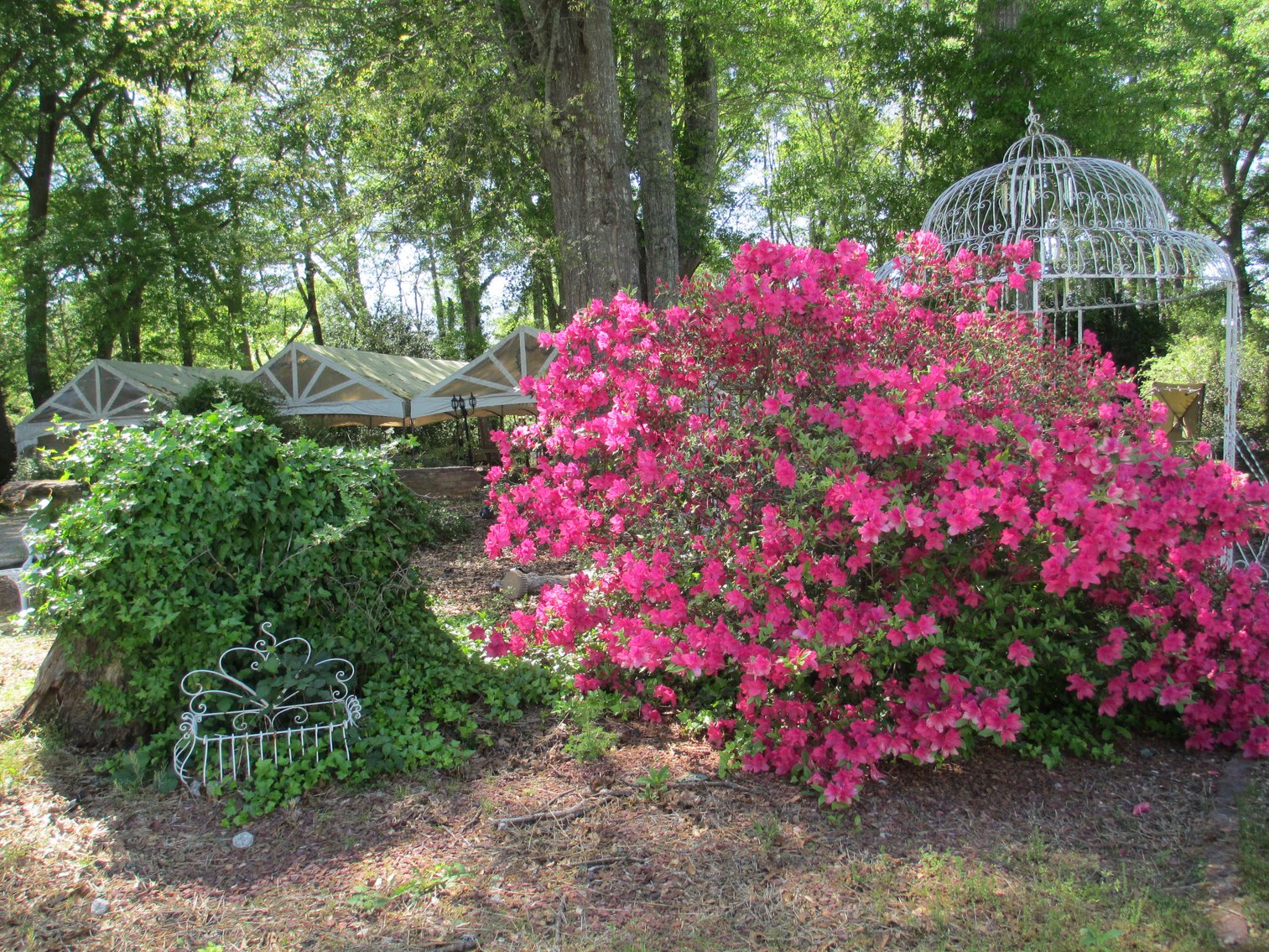 Image for 240 North Jeff Davis Drive, Fayetteville, GA 30214