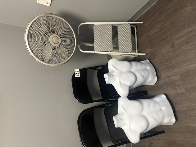 Image for (2) Black Metal Folding Chairs, (2) Front Torso Mannequins, (1) Step Stools, (1) LASKO Fan