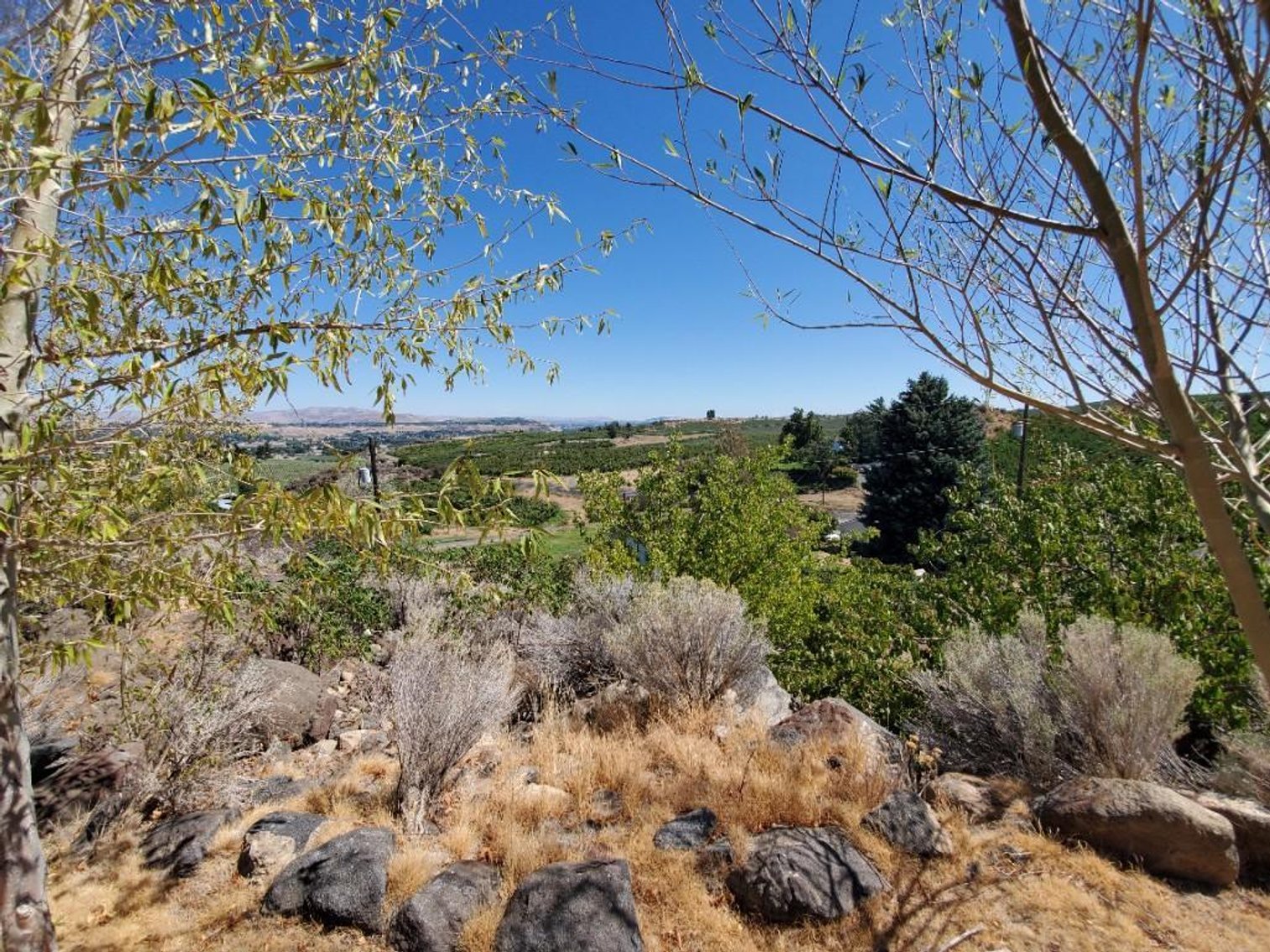 Image for #277: 2.04± Acres at 801 Young Grade Rd., Yakima WA 98908