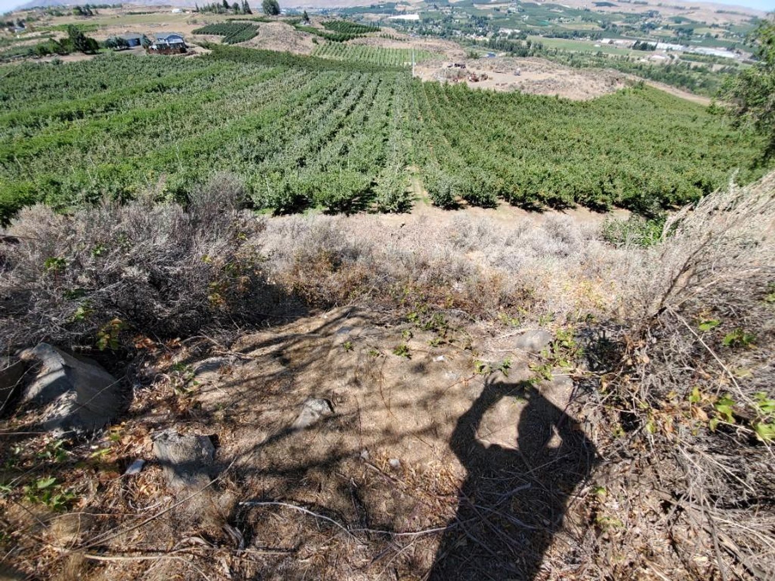 Image for #277: 2.04± Acres at 801 Young Grade Rd., Yakima WA 98908