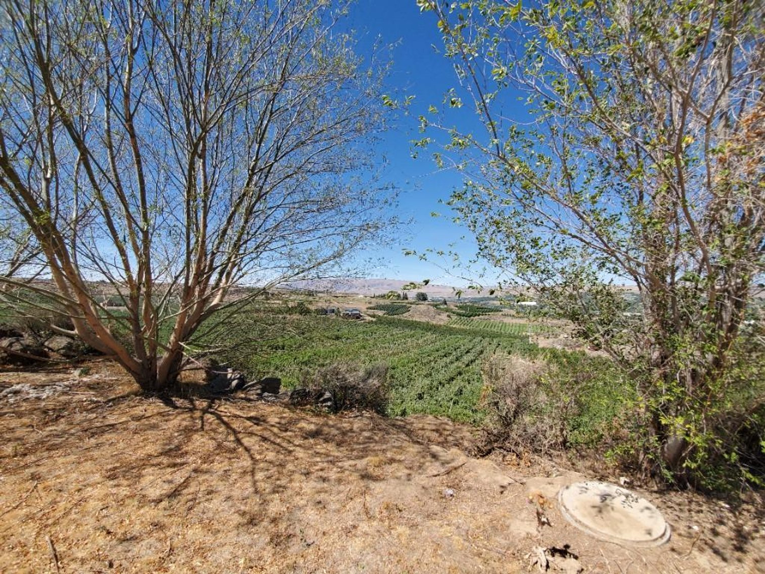 Image for #277: 2.04± Acres at 801 Young Grade Rd., Yakima WA 98908