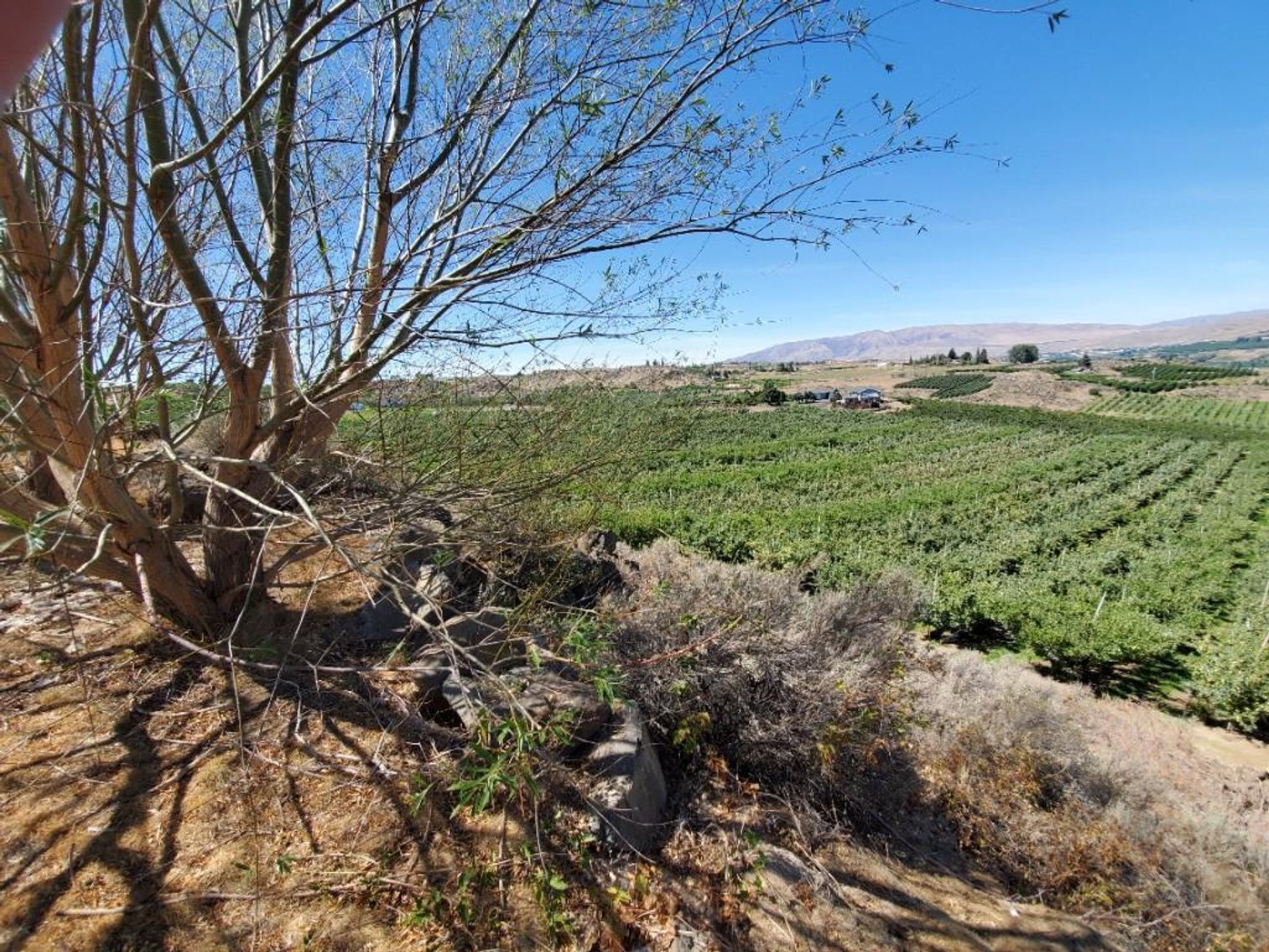 Image for #277: 2.04± Acres at 801 Young Grade Rd., Yakima WA 98908