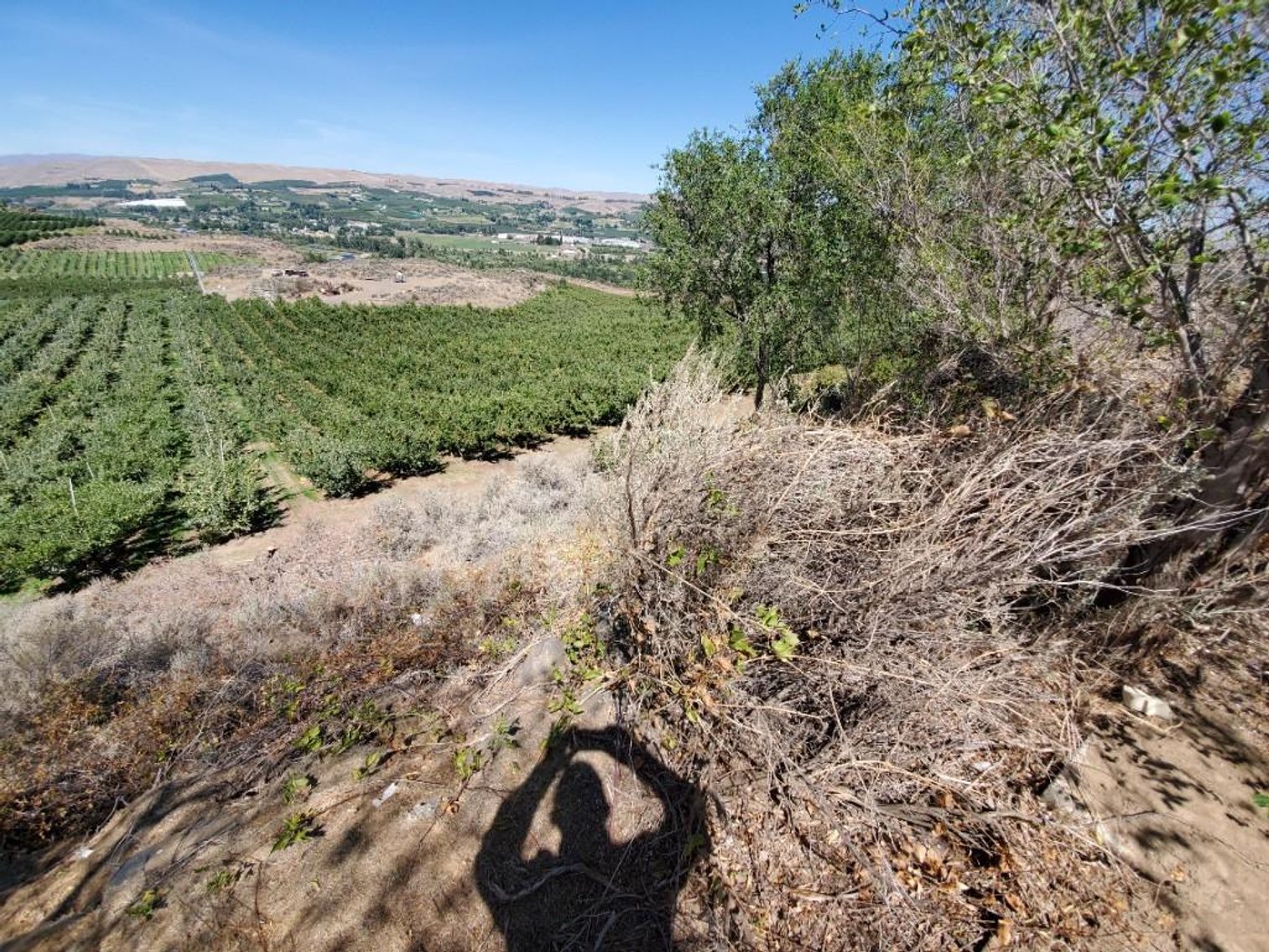 Image for #277: 2.04± Acres at 801 Young Grade Rd., Yakima WA 98908