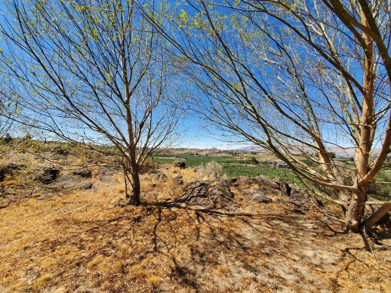 Image for #277: 2.04± Acres at 801 Young Grade Rd., Yakima WA 98908