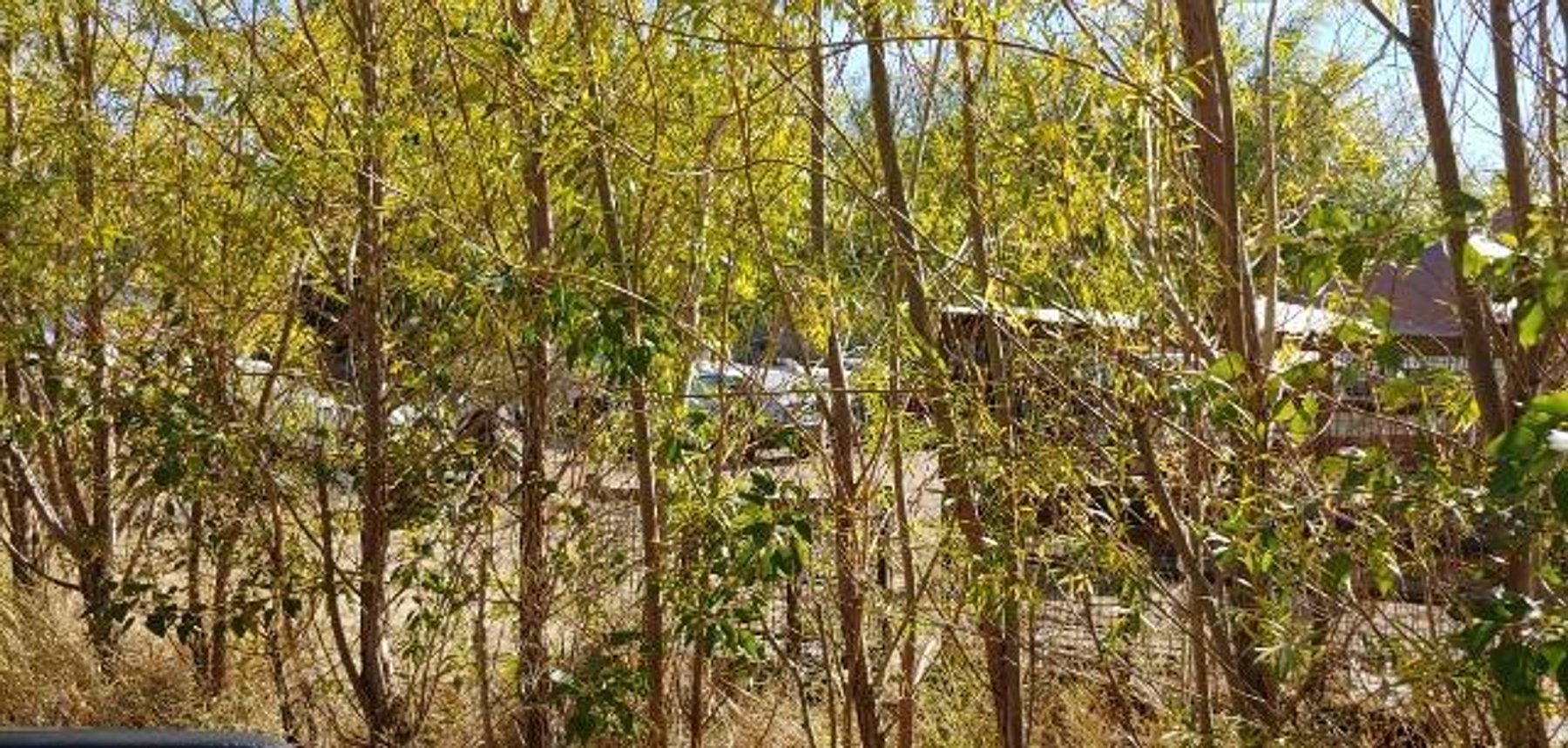 Image for #255: 184 Cosmic Ln, Cowiche, WA 98923