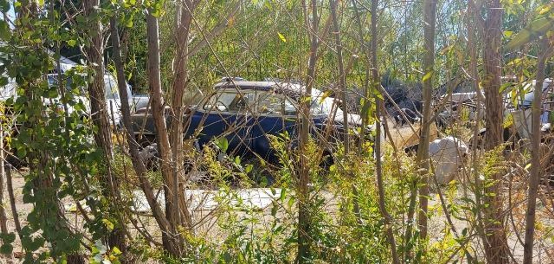 Image for #255: 184 Cosmic Ln, Cowiche, WA 98923