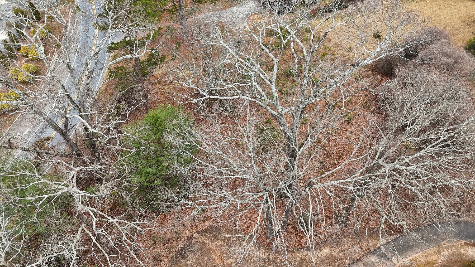 Image for Canton, GA: 1.4± Acre Medical/ Retail Site at 3174 Marietta Highway, Canton, GA (Cherokee County)