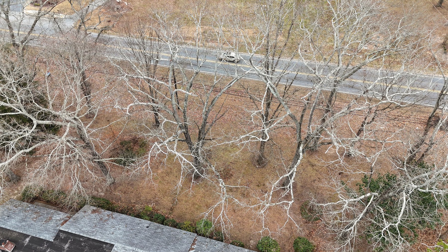 Image for Canton, GA: 1.4± Acre Medical/ Retail Site at 3174 Marietta Highway, Canton, GA (Cherokee County)