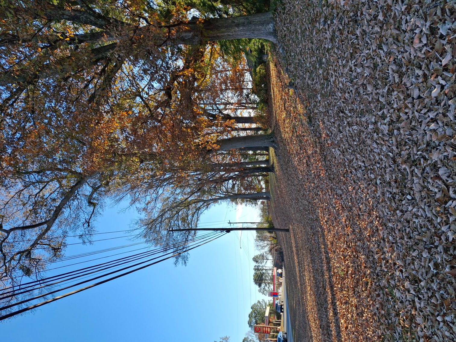 Image for Canton, GA: 1.4± Acre Medical/ Retail Site at 3174 Marietta Highway, Canton, GA (Cherokee County)