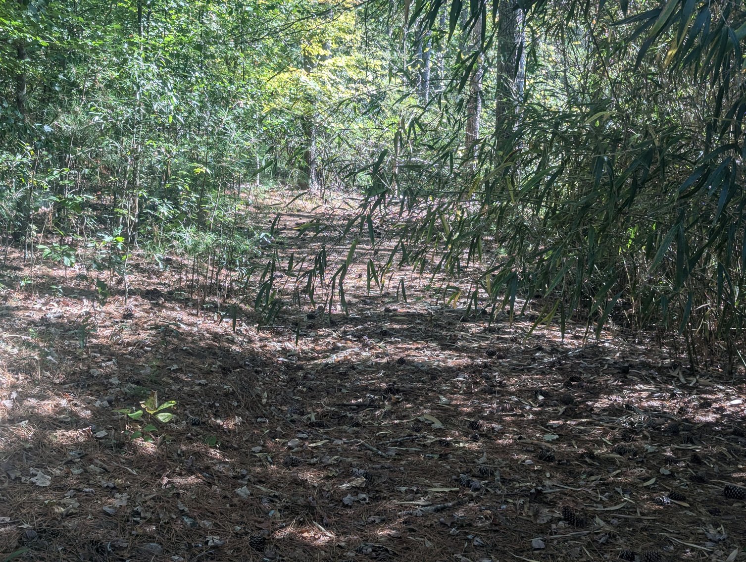 Image for 2150 Plantation Road, Lawrenceville, GA 30044