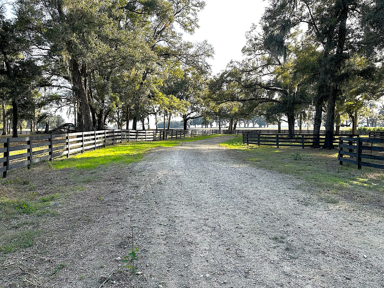 Image for 9451 SW 34th PL. Ocala 34481