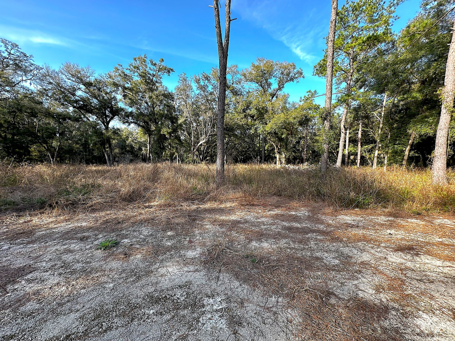 Image for 9451 SW 34th PL. Ocala 34481