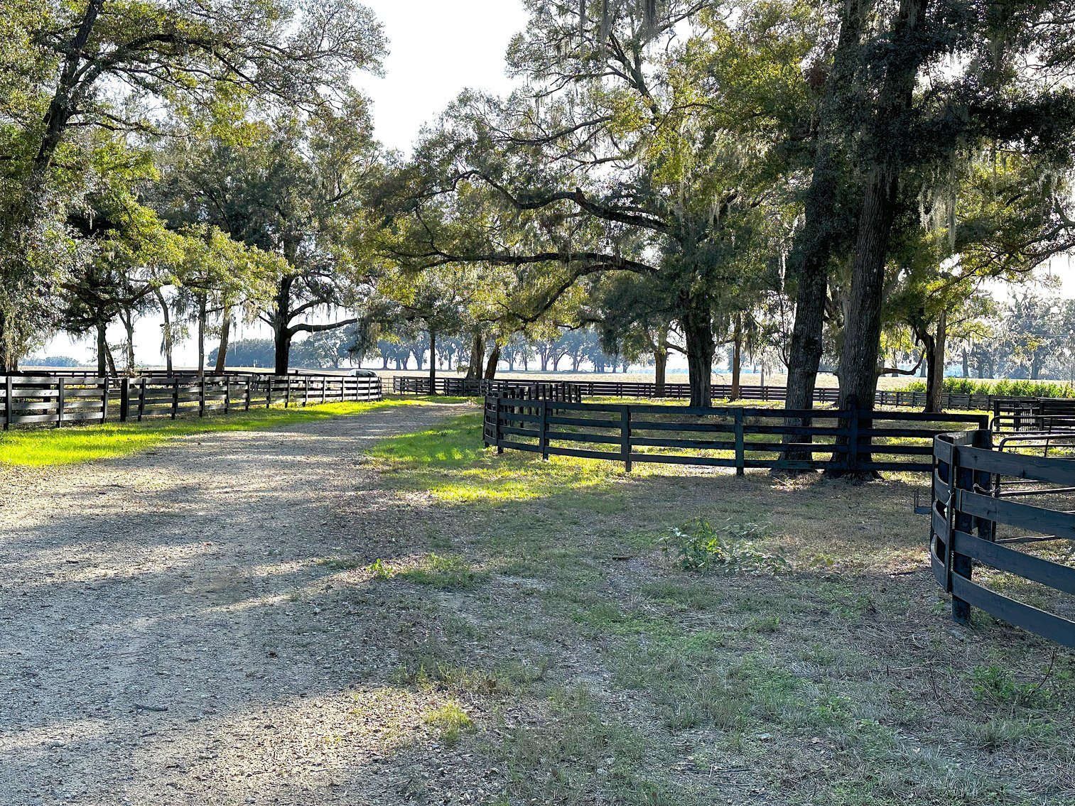 Image for 9451 SW 34th PL. Ocala 34481