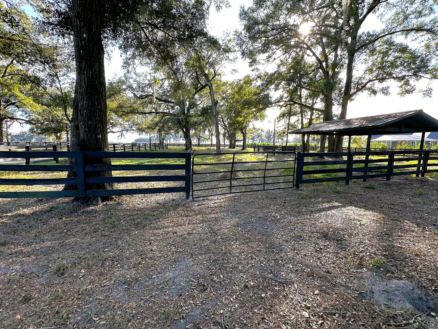 Image for 9451 SW 34th PL. Ocala 34481