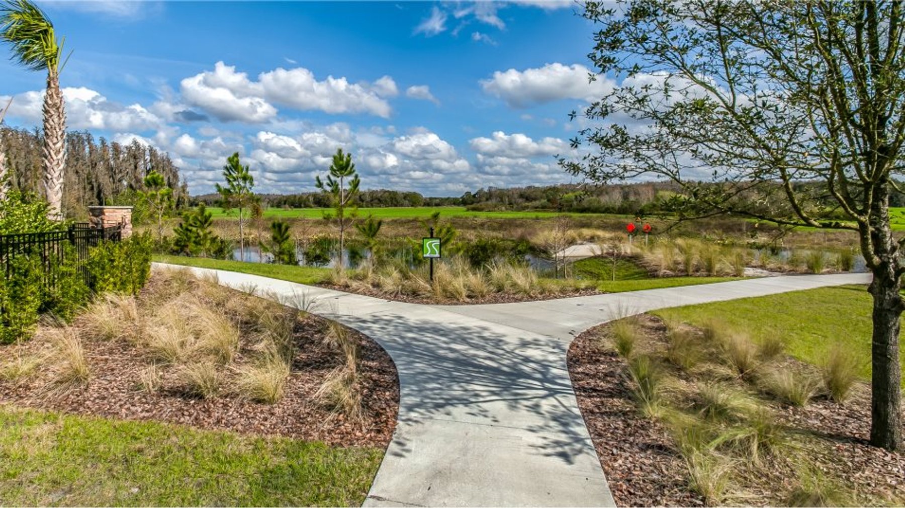 Image for 16683 SHELL BAY DR, LAND O LAKES, FL 34638