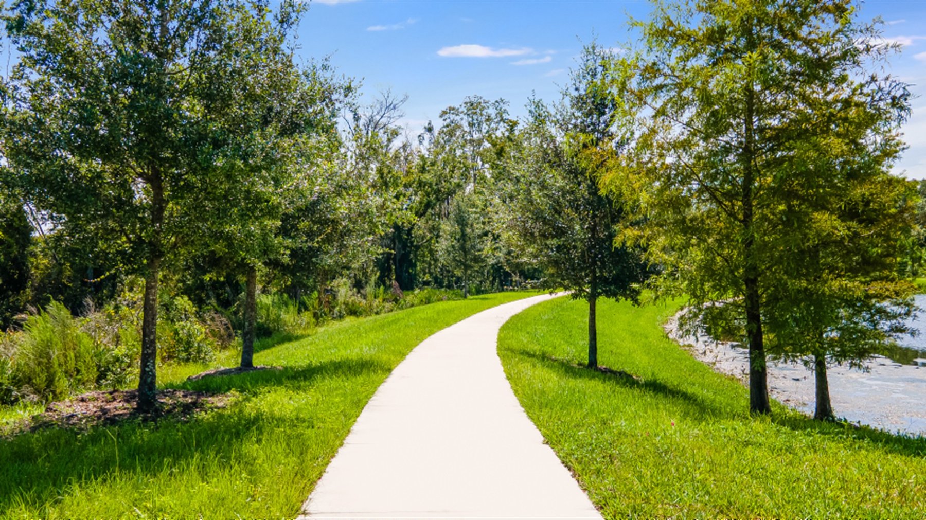 Image for 16683 SHELL BAY DR, LAND O LAKES, FL 34638