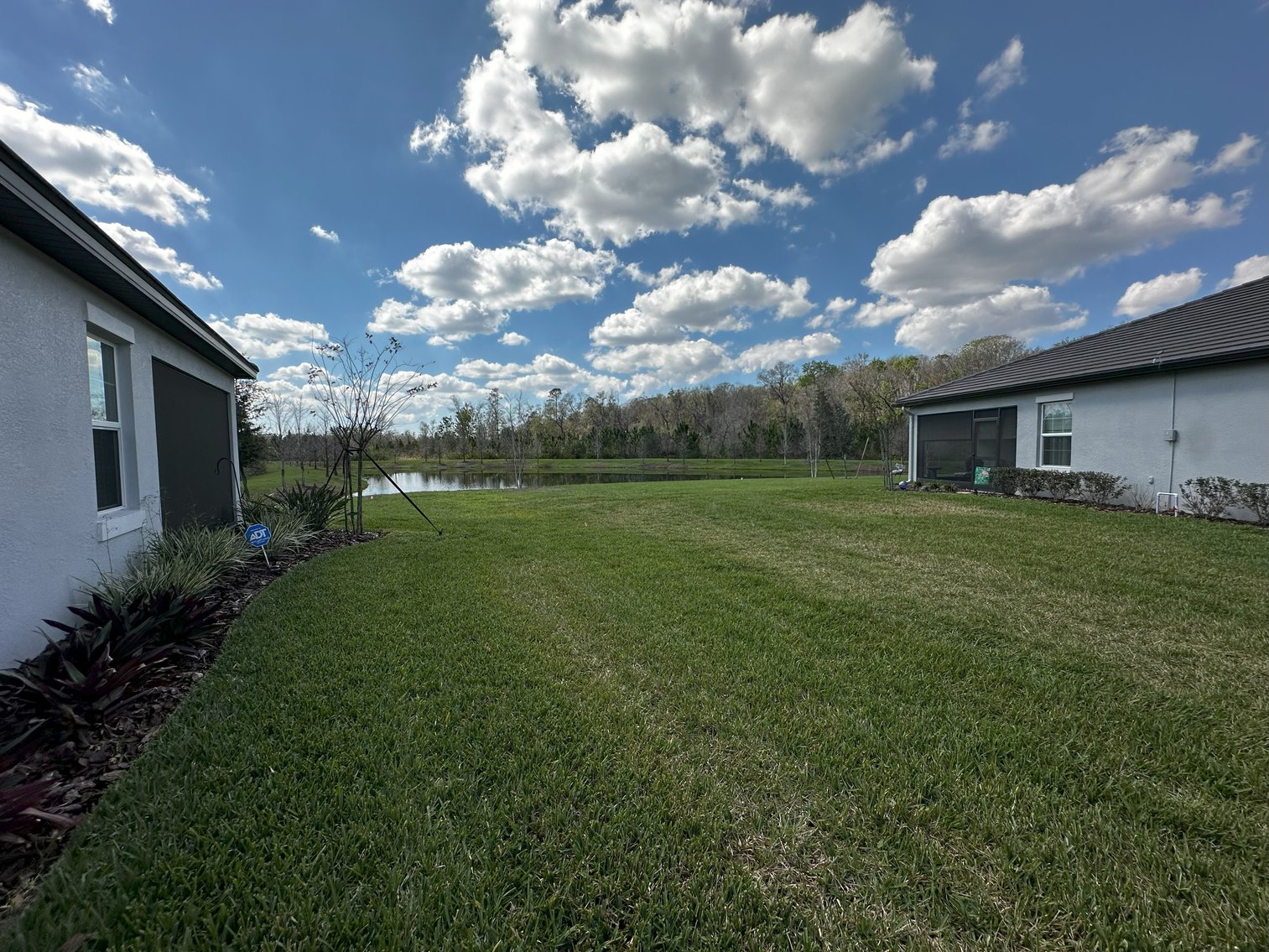 Image for 16683 SHELL BAY DR, LAND O LAKES, FL 34638