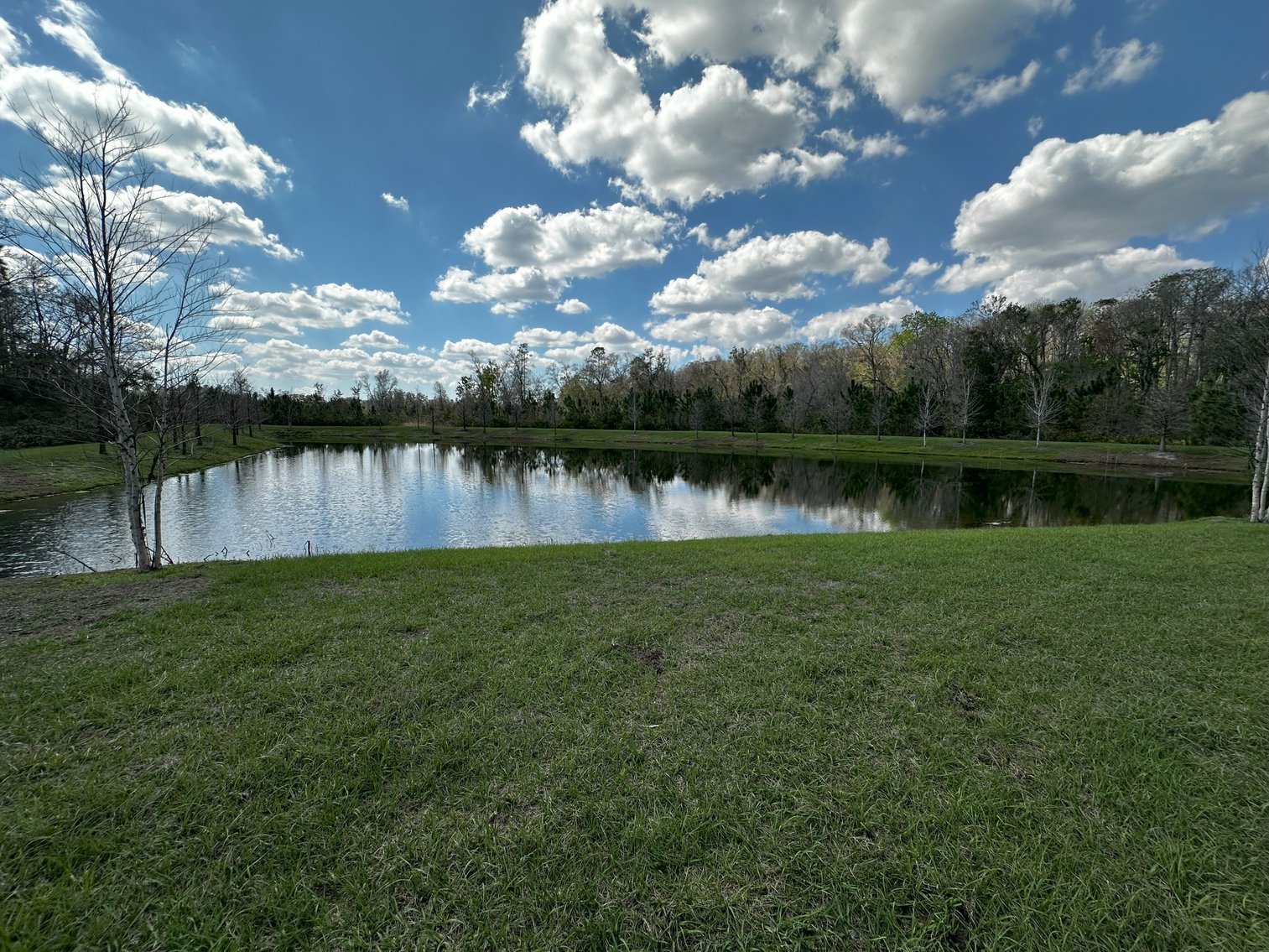 Image for 16683 SHELL BAY DR, LAND O LAKES, FL 34638