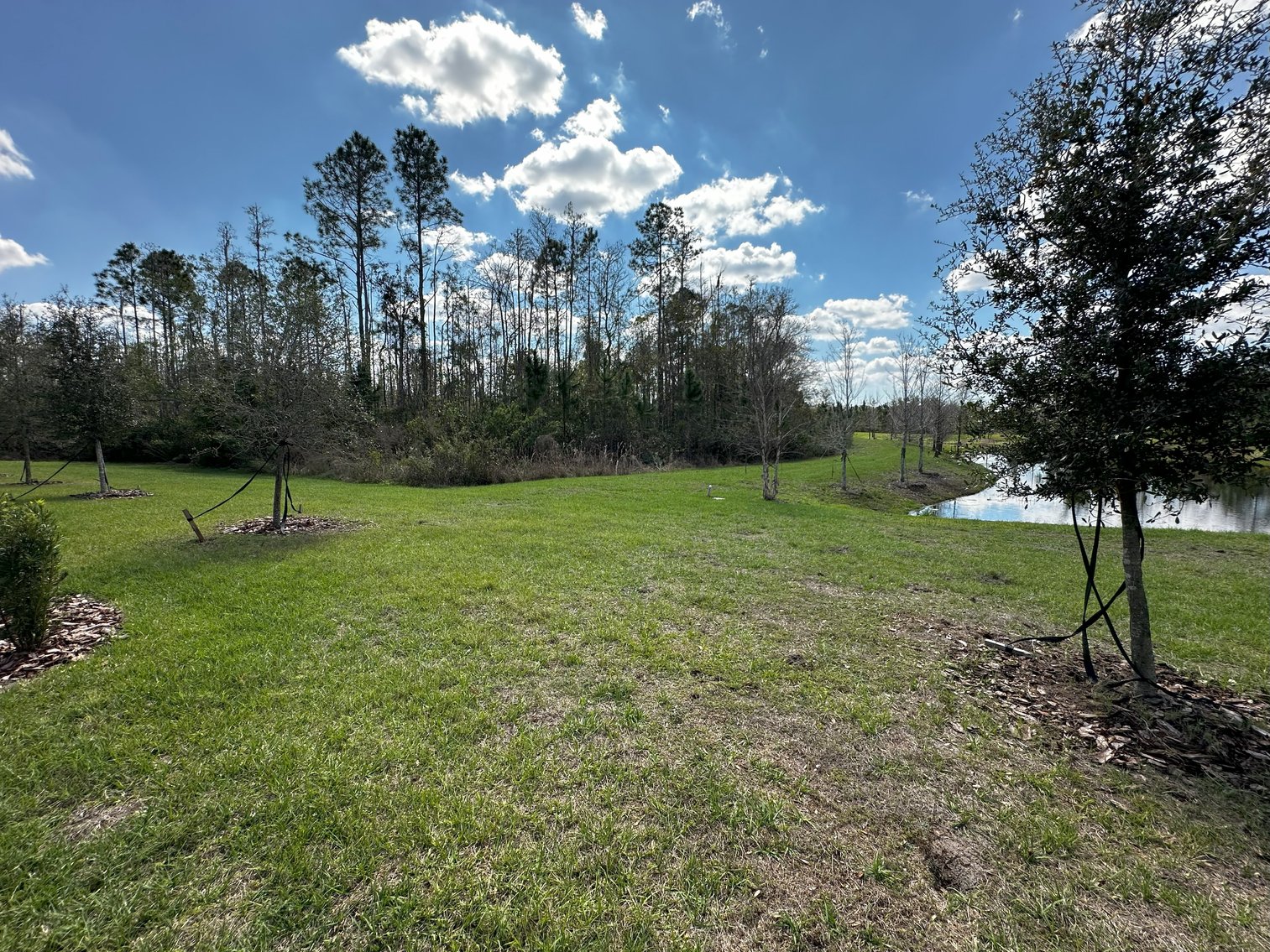 Image for 16683 SHELL BAY DR, LAND O LAKES, FL 34638